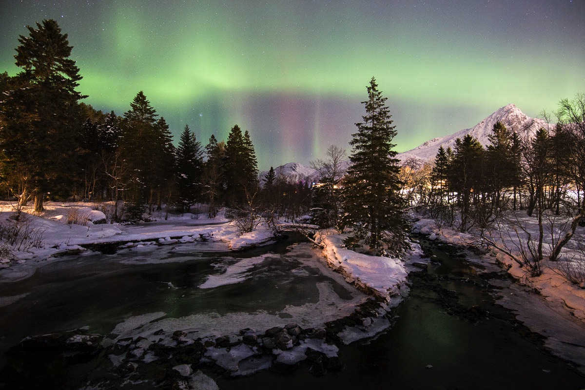 northern lights show green in the pictures, white to the eye